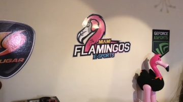 Miami Flamingos se despide de los esports envuelta en escándalos