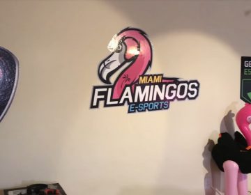 Miami Flamingos se despide de los esports envuelta en escándalos