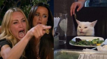 La historia detrás del meme del gato y la mujer
