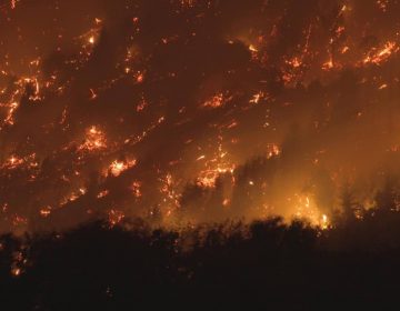 Equipos argentinos unidos contra incendios en la Patagonia