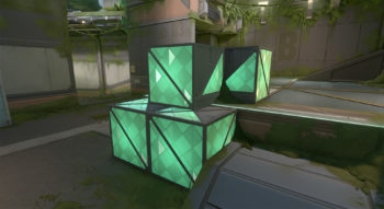 Fracture